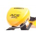ACE 300i RUS металлоискатель модель 1141850 от Garrett
