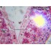Камера для микроскопа ToupCam UCMOS05100KPA модель st_5694 от ToupTek