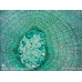 Камера для микроскопов ToupCam UHCCD01400KPB модель st_6014 от ToupTek