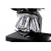 Микроскоп Levenhuk 890T, тринокулярный модель 84768 от Levenhuk