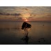Водонепроницаемый фотоаппарат Ricoh WG-6 GPS оранжевый модель pt_S0003852 от Ricoh
