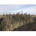 Скрадок «Шалаш» ПроГусь модель 00013885 от ПроГусь