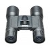 Бинокль Bushnell Powerview 10X32, призмы Roof модель 131032 от Bushnell