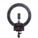Осветитель кольцевой Falcon Eyes BeautyLight 240 LED модель vb_26758 от Falcon Eyes