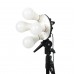Комплект студийного оборудования Falcon Eyes KeyLight 825LED SB5070 KIT модель vb_27652 от Falcon Eyes