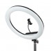 Осветитель кольцевой Falcon Eyes BeautyLight 480RC LED модель vb_27944 от Falcon Eyes