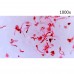 Цифровой микроскоп МИКМЕД LCD 1000Х 2.0LB модель vb_30701 от Микмед