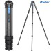 Штатив трипод Leofoto LS-364C CARBON (резьба 3/8) модель 00014430 от Leofoto