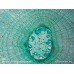 Камера для микроскопов ToupCam UHCCD00800KPA модель st_6013 от ToupTek