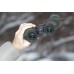 Бинокль Sturman 10x36 коричневый модель st_6161 от Sturman