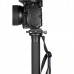 Монопод Leofoto MP-365C CARBON модель 00014453 от Leofoto