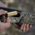 Лазерный патрон Sightmark Accudot для пристрелки 12 калибр (SM39054) модель 00013937 от Sightmark