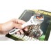 Лупа Kenko PKC-012 75 мм, двойной фокус 2х/3.5х, с подсветкой модель st_8228 от Kenko