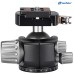 Голова с адаптером Leofoto LH-40LR+NP-50 (шаровое соединение 40 мм) модель 00014457 от Leofoto