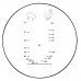 Бинокль Sturman 10x50 с сеткой зелёный модель st_4092 от Sturman