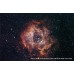 Телескоп апохромат Meade 130mm ED TRIPLET APO (f/7) модель pt_TP261003 от Meade