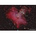 Оптическая труба Meade 12″ ACF (f/8) OTA w/UHTC (крепление - пластина  Losmandy-style) модель pt_TP1208-80-01 от Meade