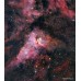 Оптическая труба Meade 12″ ACF (f/8) OTA w/UHTC (крепление - пластина  Losmandy-style) модель pt_TP1208-80-01 от Meade