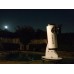 Телескоп Meade Lightbridge Mini 82 мм модель pt_TP203001 от Meade