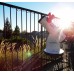 Телескоп Meade LightBridge Mini 114 мм модель pt_TP203002 от Meade