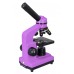 Микроскоп Levenhuk Rainbow 2L Amethyst/Аметист модель 69036 от Levenhuk