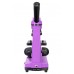 Микроскоп Levenhuk Rainbow 2L Amethyst/Аметист модель 69036 от Levenhuk