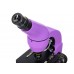 Микроскоп Levenhuk Rainbow 50L Amethyst/Аметист модель 69047 от Levenhuk