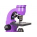 Микроскоп Levenhuk Rainbow 50L Amethyst/Аметист модель 69047 от Levenhuk