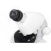 Микроскоп Discovery Micro Polar с книгой модель 77952 от Discovery