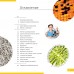 Микроскоп Discovery Pico Terra с книгой модель 77974 от Discovery