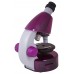 Микроскоп Levenhuk LabZZ M101 Amethyst/Аметист модель 69033 от Levenhuk