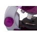 Микроскоп Levenhuk LabZZ M101 Amethyst/Аметист модель 69033 от Levenhuk
