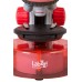 Микроскоп Levenhuk LabZZ M101 Orange/Апельсин модель 69730 от Levenhuk