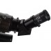 Телескоп Sky-Watcher BK 804AZ3 модель 67954 от Sky-Watcher