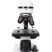 Микроскоп Levenhuk Rainbow D2L, 0,3 Мпикс, Moonstone/Лунный камень модель 69040 от Levenhuk