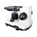 Микроскоп Levenhuk Rainbow D2L, 0,3 Мпикс, Moonstone/Лунный камень модель 69040 от Levenhuk