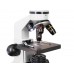 Микроскоп Levenhuk Rainbow D2L, 0,3 Мпикс, Moonstone/Лунный камень модель 69040 от Levenhuk