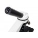 Микроскоп Levenhuk Rainbow D2L, 0,3 Мпикс, Moonstone/Лунный камень модель 69040 от Levenhuk