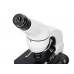 Микроскоп Levenhuk Rainbow D50L PLUS, 2 Мпикс, Moonstone/Лунный камень модель 69056 от Levenhuk