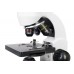 Микроскоп Levenhuk Rainbow D50L PLUS, 2 Мпикс, Moonstone/Лунный камень модель 69056 от Levenhuk