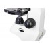 Микроскоп Levenhuk Rainbow D50L PLUS, 2 Мпикс, Moonstone/Лунный камень модель 69056 от Levenhuk