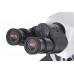 Микроскоп Levenhuk MED 40B, бинокулярный модель 74004 от Levenhuk