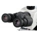 Микроскоп Levenhuk MED 40T, тринокулярный модель 74005 от Levenhuk