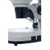 Микроскоп Levenhuk 4ST, бинокулярный модель 76055 от Levenhuk