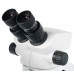 Микроскоп Levenhuk ZOOM 1B, бинокулярный модель 76056 от Levenhuk