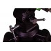 Телескоп Sky-Watcher MAK102/1300 StarQuest EQ1 модель 76338 от Sky-Watcher