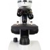 Микроскоп Discovery Pico Polar с книгой модель 77977 от Discovery