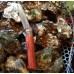Нож Opinel серии Specialists for Foodies №09 для устриц модель 001616 от Opinel