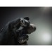 Фонарь подствольный Armytek Predator Pro Magnet USB XHP35 HI тёплый модель F07301W от Armytek
