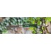 Нож Opinel серии Tradition Colored №08, хаки модель 001703 от Opinel